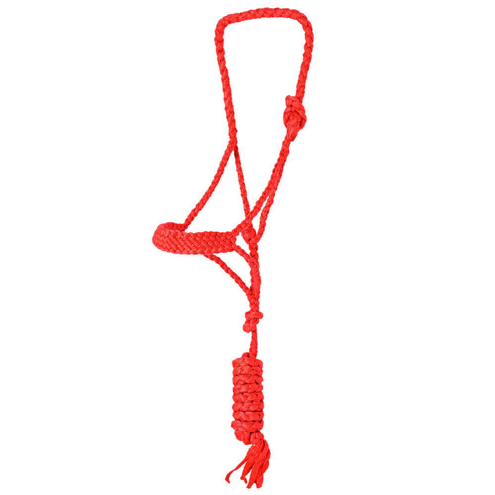8 Ft Hilason W. Nylon Poly Flat Braided Mule Tape Halter And Lead Rope by Hilason – Cowboy and equestrian accessories