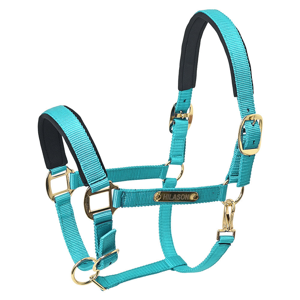 Medium HILASON W. H. Top Grade Nylon Comfortable & Flexible Halter – by Hilason – Cowboy and equestrian accessories